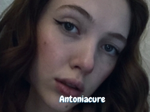 Antoniacure