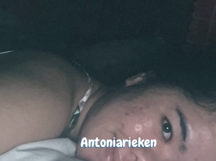 Antoniarieken