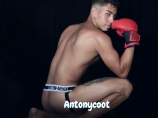 Antonycoot