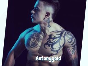 Antonygold