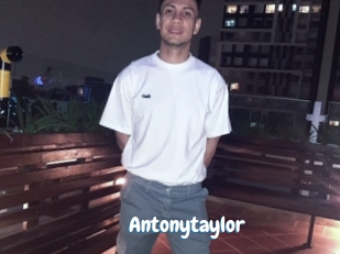 Antonytaylor