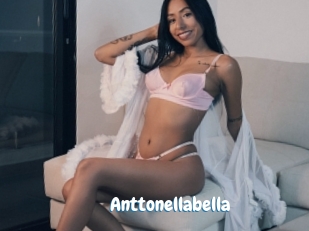 Anttonellabella