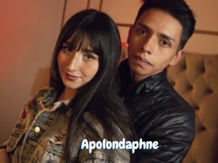 Apolondaphne