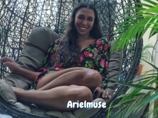 Arielmuse