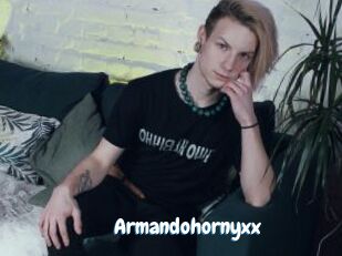 Armandohornyxx