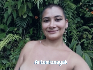 Artemiznayak