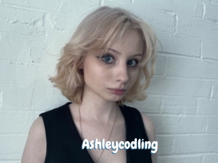 Ashleycodling