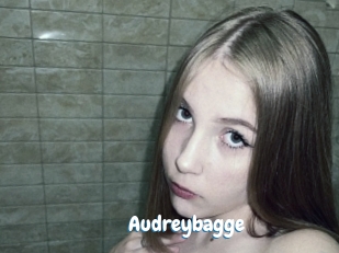 Audreybagge