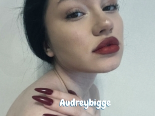 Audreybigge