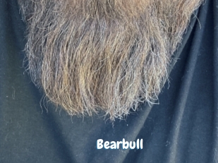 Bearbull