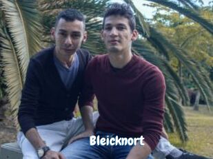 Bleicknort