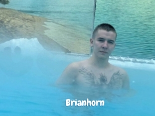 Brianhorn