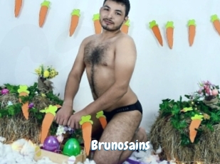 Brunosains