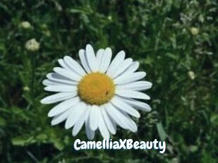 Camellia_XBeauty