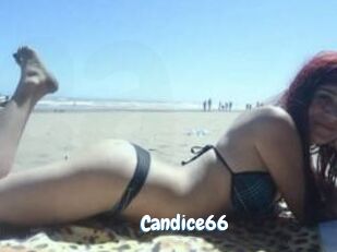 Candice66