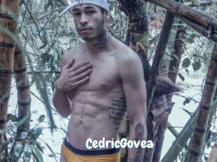 CedricGovea