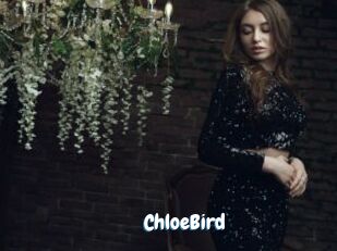 ChloeBird