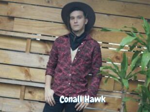 Conall_Hawk