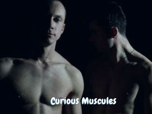 Curious_Muscules