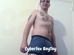 CyberSex_BoyToy