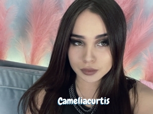 Cameliacurtis