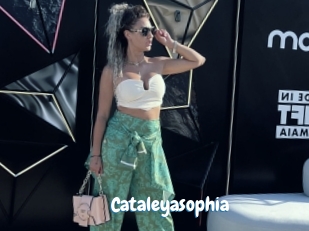 Cataleyasophia