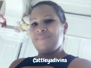 Cattleyadivina