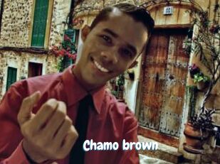 Chamo_brown