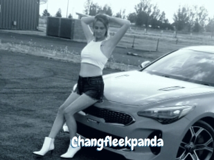 Changfleekpanda