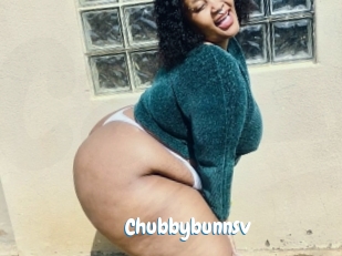 Chubbybunnsv