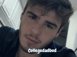 Collegedadbod