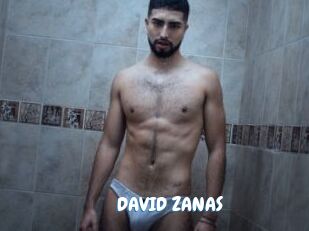 DAVID_ZANAS