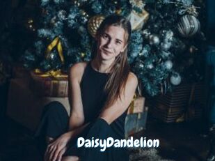 DaisyDandelion