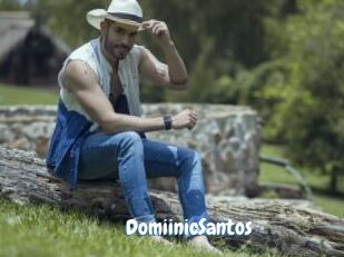 DomiinicSantos