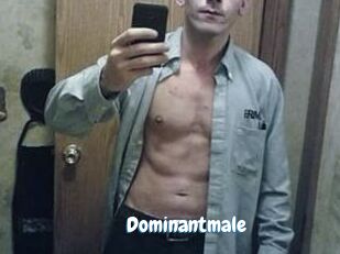 Dominantmale