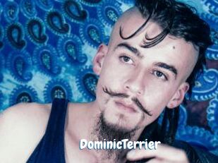 DominicTerrier