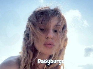 Daisyburge