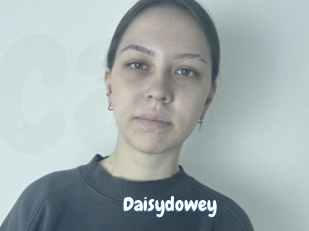 Daisydowey