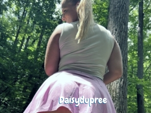 Daisydupree