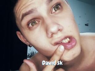 David_sk