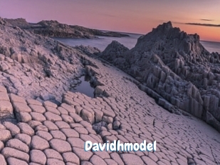 Davidhmodel