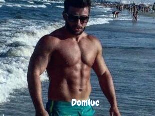 Domluc