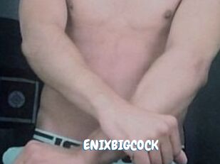 ENIXBIGCOCK