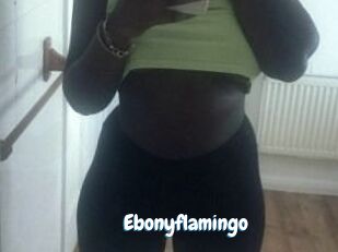 Ebony_flamingo