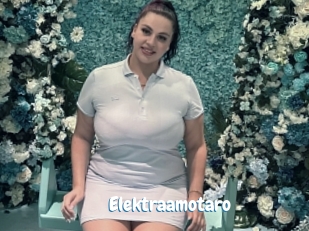 Elektraamotaro