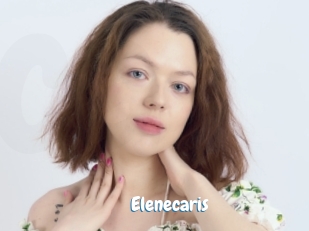 Elenecaris