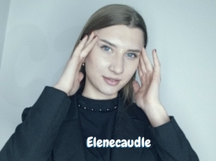 Elenecaudle