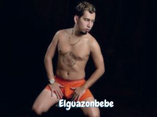 Elguazonbebe