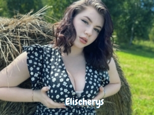 Elischerys