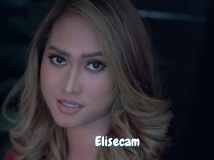 Elisecam